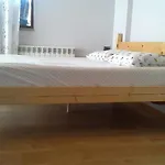 Bujtina E Tomorrit Ujanik