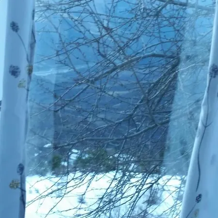 Bujtina E Tomorrit *