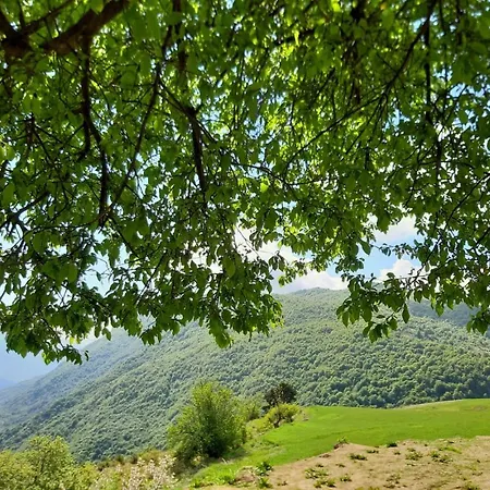 Bujtina E Tomorrit