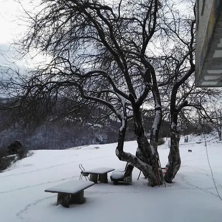 Guest house Bujtina E Tomorrit *