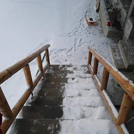 Bujtina E Tomorrit *