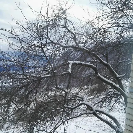 Bujtina E Tomorrit *