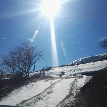 게스트하우스 Bujtina E Tomorrit