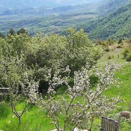 Bujtina E Tomorrit