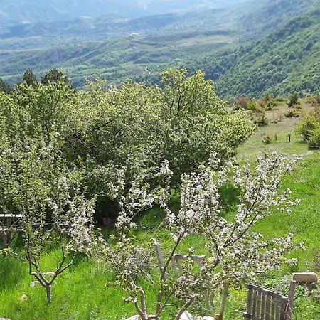 Bujtina E Tomorrit