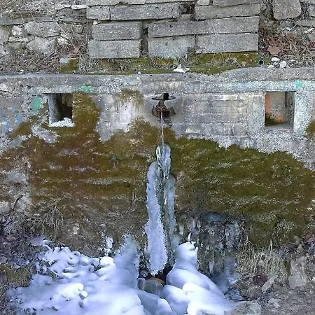 Bujtina E Tomorrit *