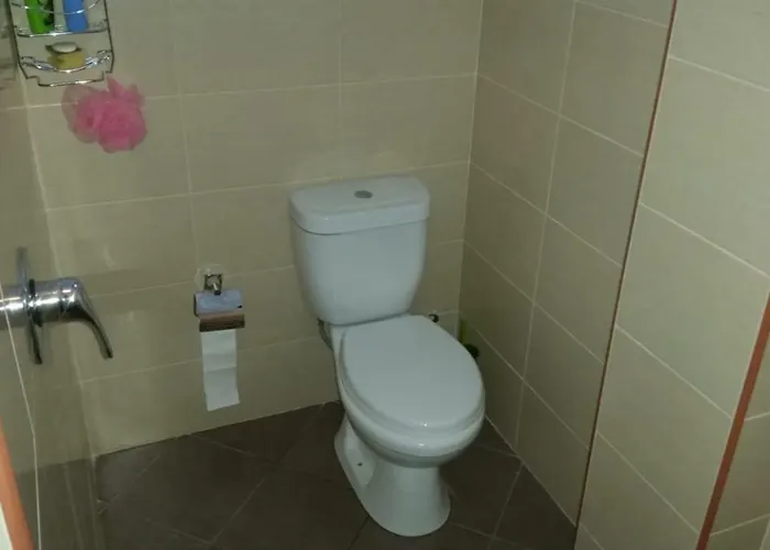 Pensjonat Bujtina E Tomorrit Ujanik