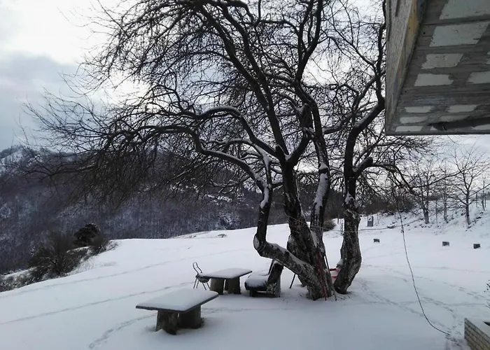 Pensjonat Bujtina E Tomorrit *