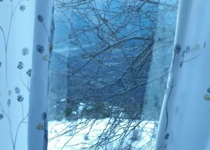 Bujtina E Tomorrit *