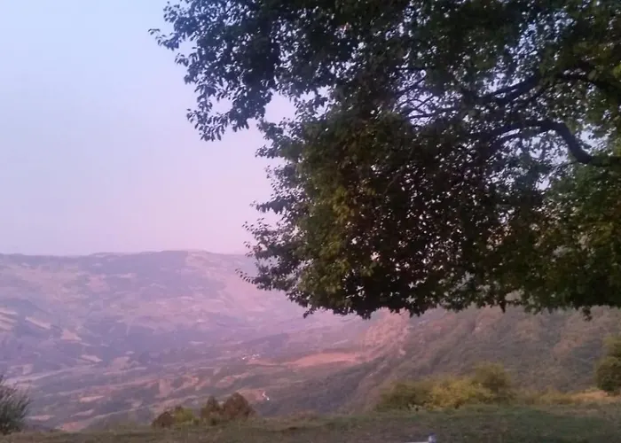 Bujtina E Tomorrit Pensjonat *