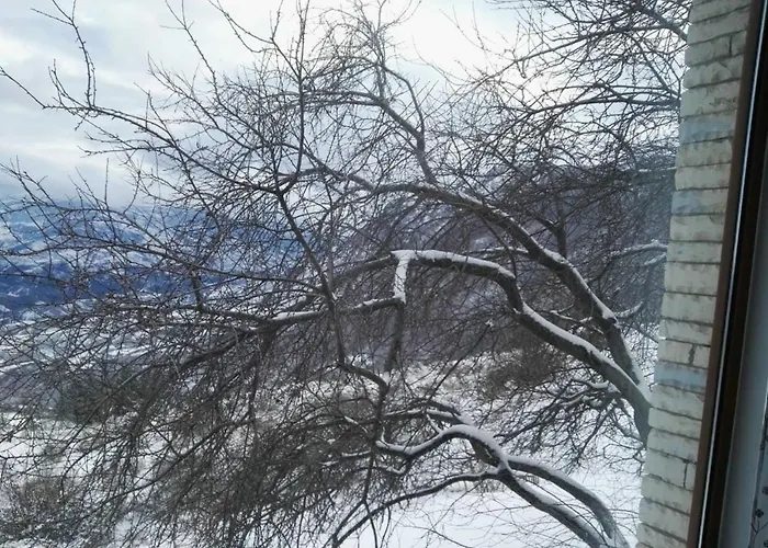 Bujtina E Tomorrit *