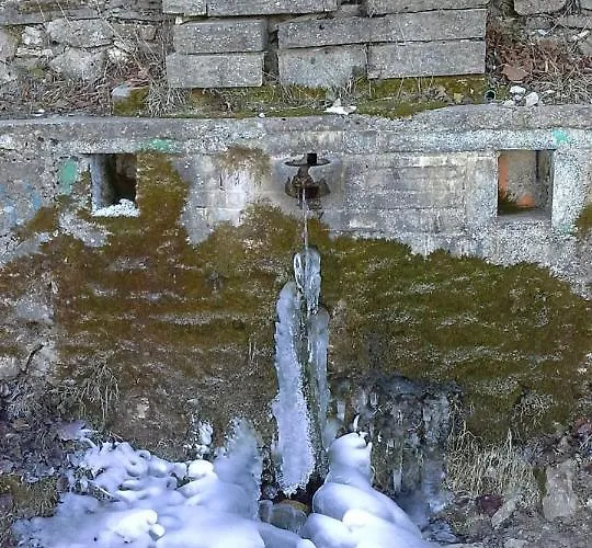 Bujtina E Tomorrit *